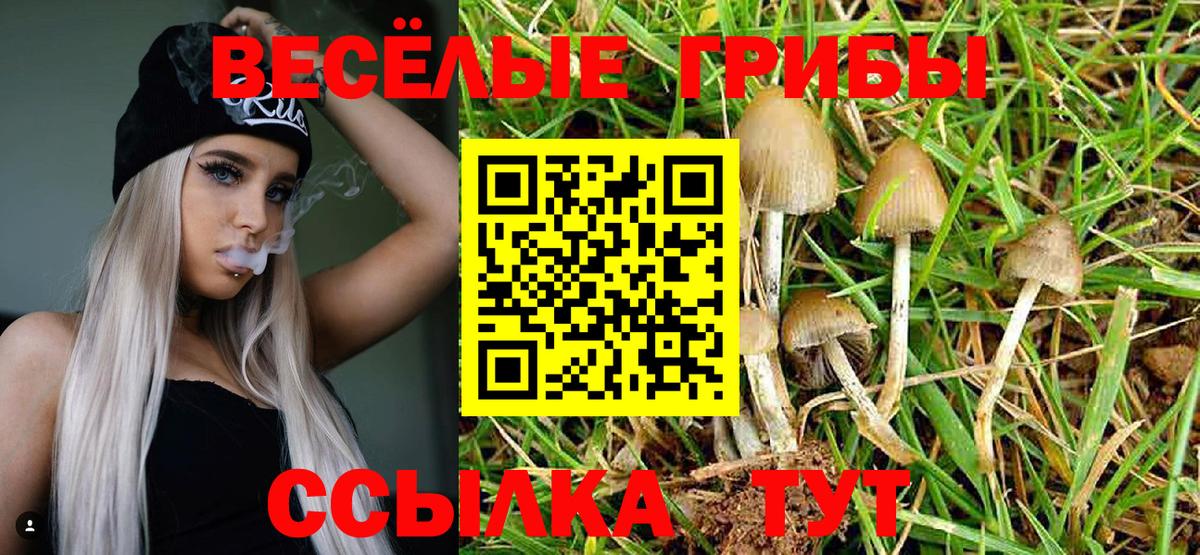 Псилоцибиновые грибы мухоморы Отрадный